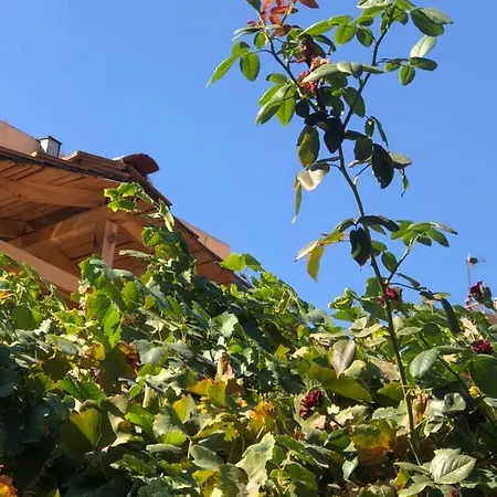 A New Nice Villa In Heart Of City Antalya * Antalya
